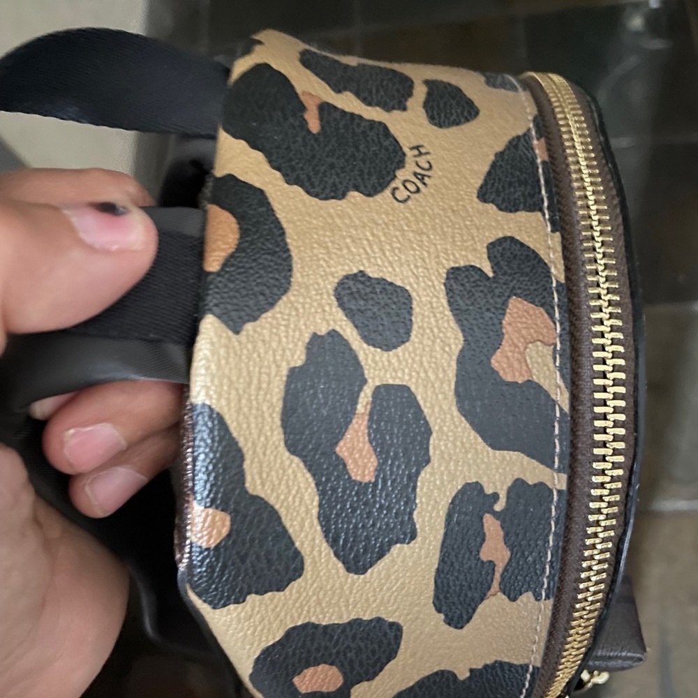 Coach Signature Mini Charlie Brown and Black Backpack (NWOT) - Picture 7 of 7